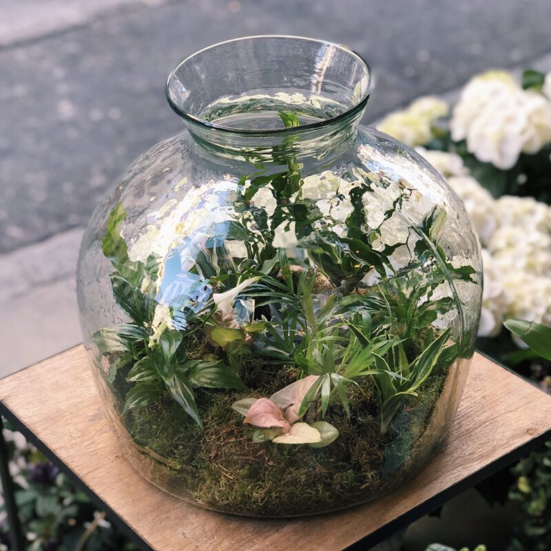 Le Terrarium