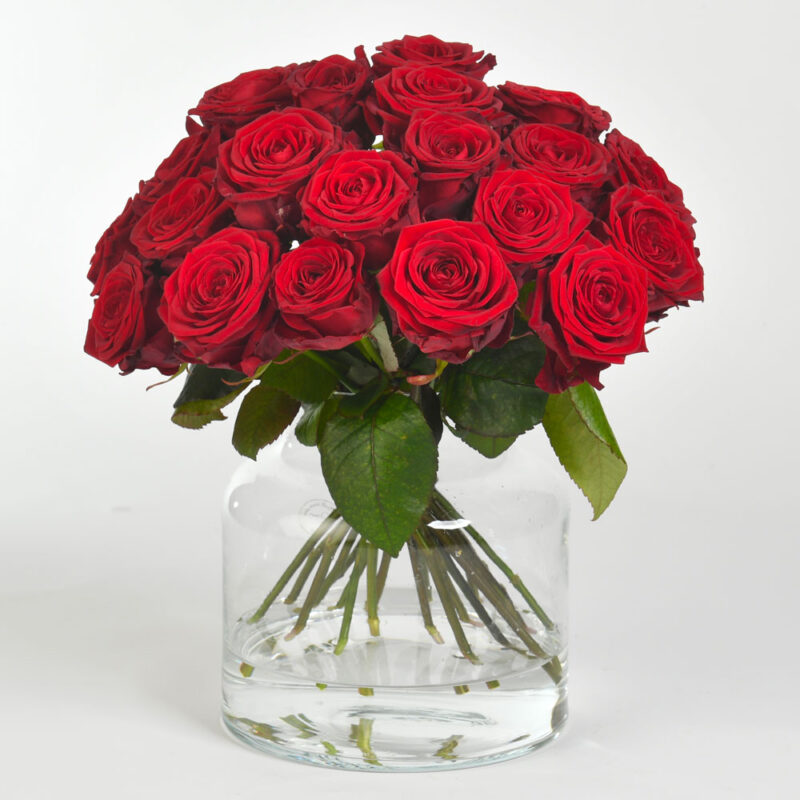 Bouquet of red roses