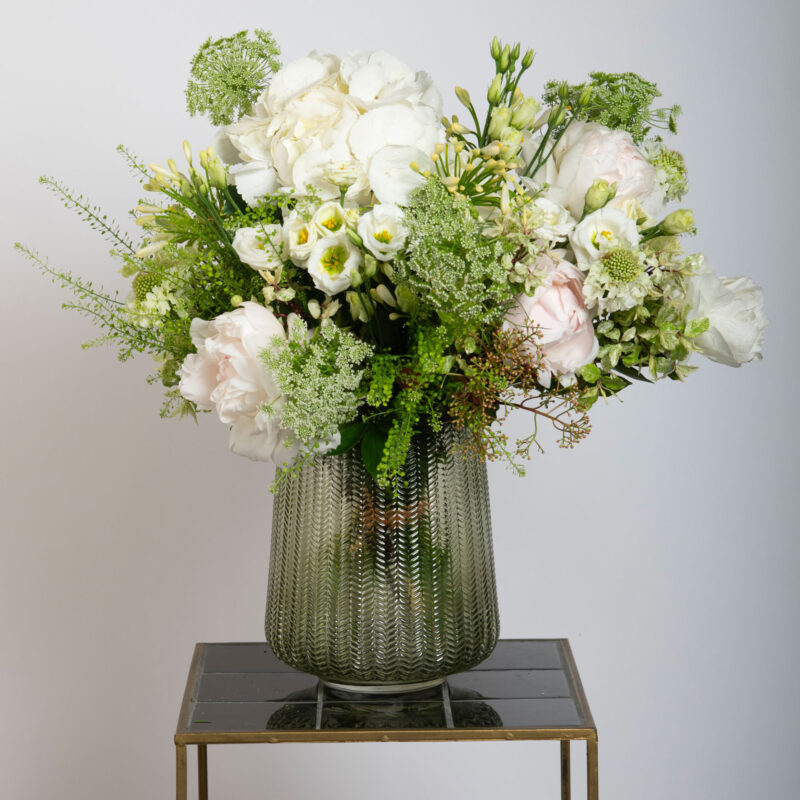 White Sensation Peonies