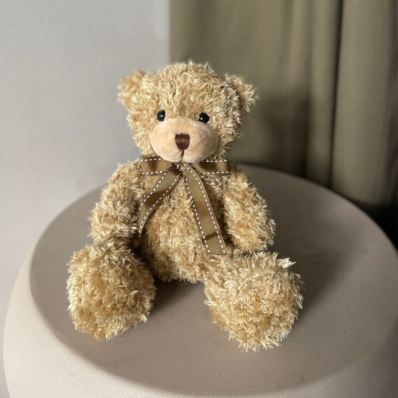 Ours en peluche !